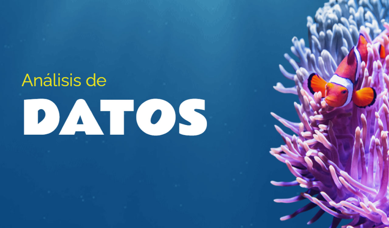 Análisis de datos-CB